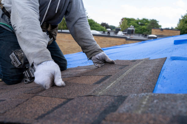 Best Emergency Roof Repair  in River Road, NC